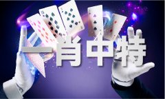 挑码帮手软件叮当猫 挑码帮手软件叮当猫