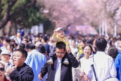次序递次花开撬动“赏花经济”